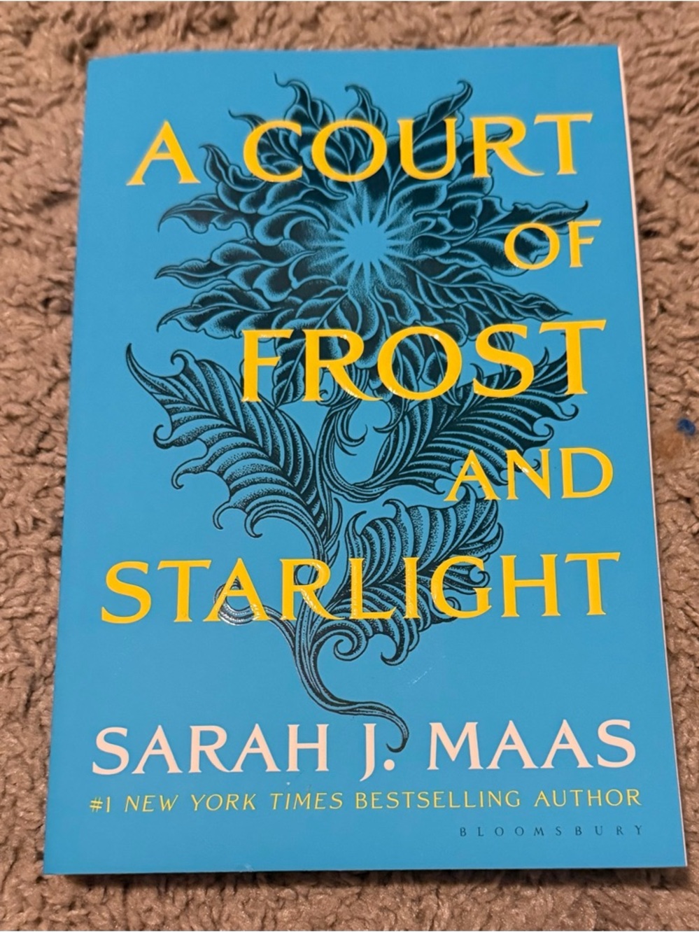Bundle Price - $4 - BOOK - A Court of Frost and Starlight by Sarah J. Maas